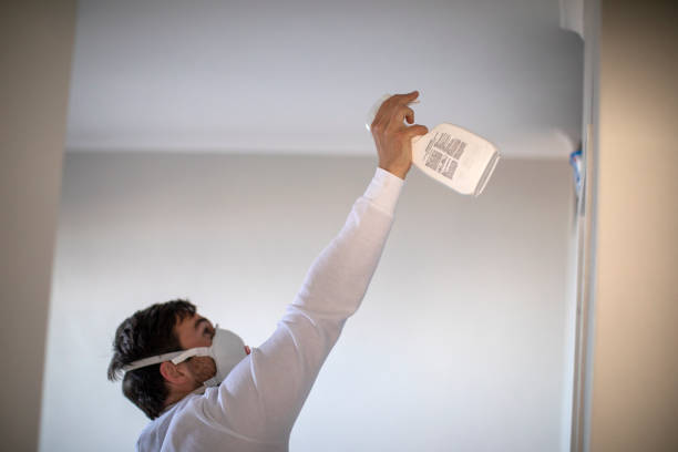 Best Mold Damage Repair  in Lincoln, CA