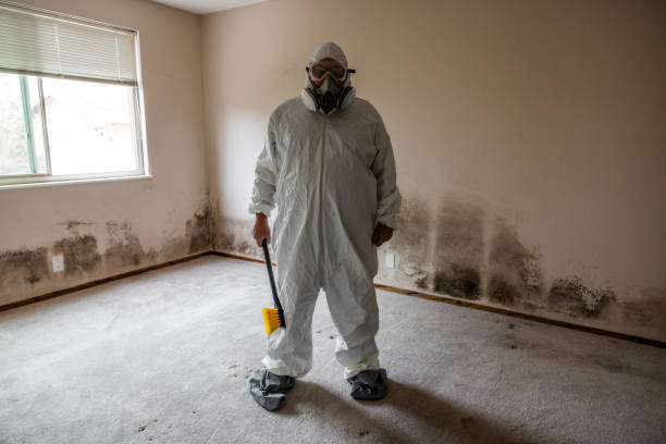 Best Mold Testing  in Lincoln, CA